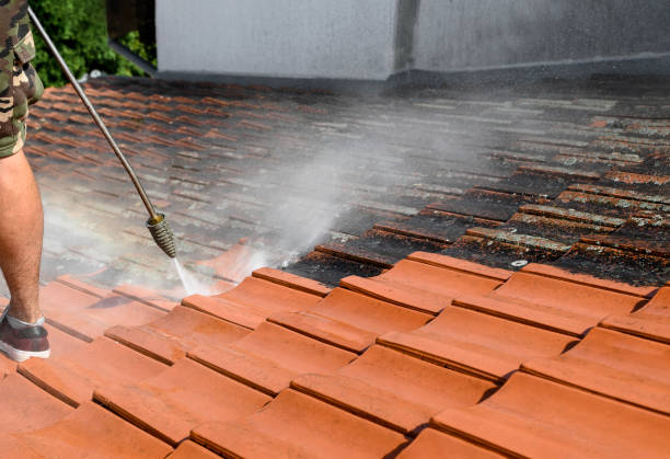 Best Best Pressure Washing Companies  in Park Hills, KY